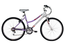 24"18 speed Mountain bike